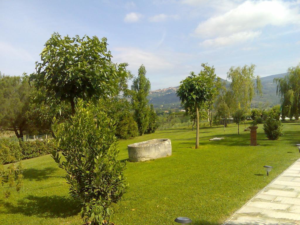 Agriturismo Podere Ossaia Кортона Номер фото